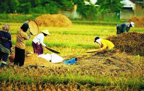 Kementerian Pertanian Terapkan 4 Langkah Dukung Ekonomi Kerakyatan